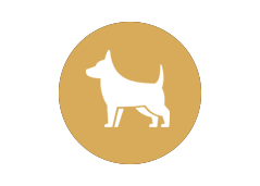 Pet Friendly Icon