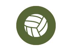 Volleyball Court Icon